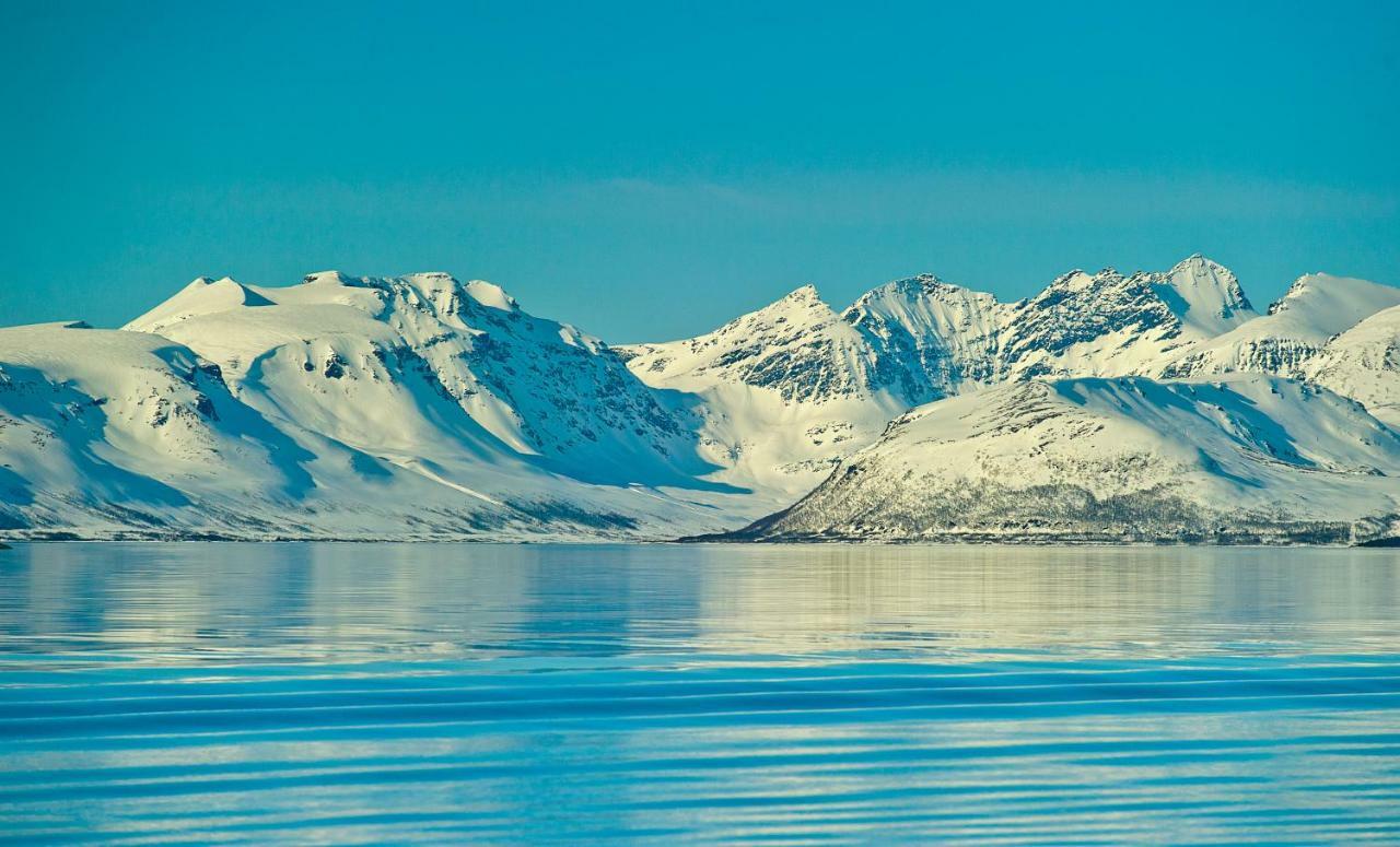 Lyngen Experience Apartments Nord-Lenangen Dış mekan fotoğraf